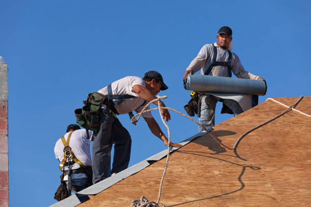 Best Roof Maintenance Services  in Creston, IA